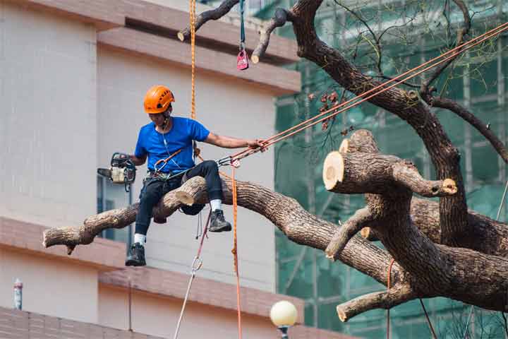 how do electric chainsaws work