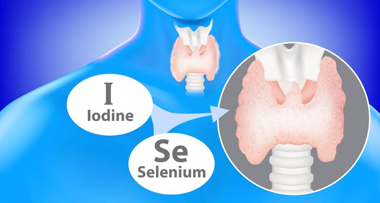 Low Thyroid Diet