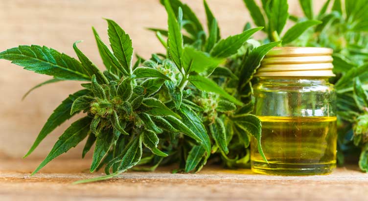 Steps to Make CBD Oil at Home