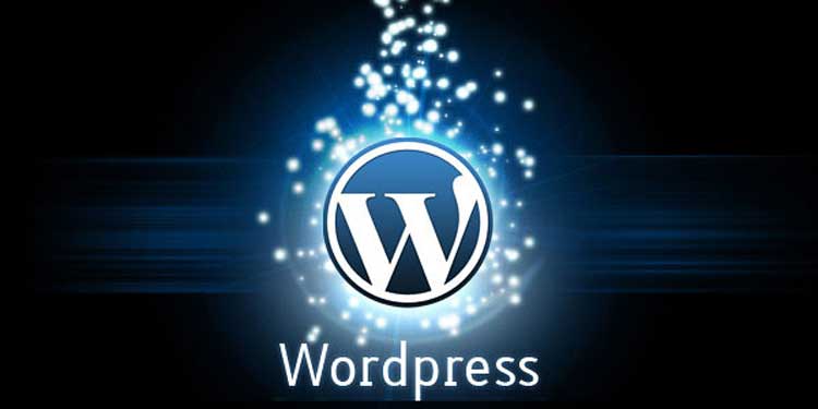 Wordpress for dummies