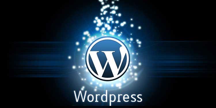 WordPress for Dummies – Easily Launch your Own Website