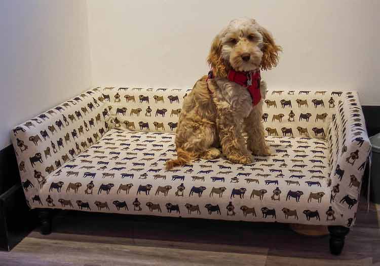 washable dog bed