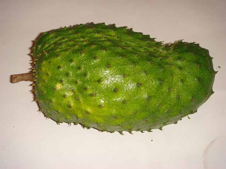 The Benefits of Soursop