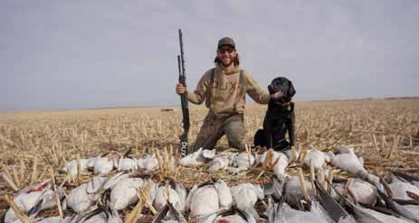 Things About Goose Hunting