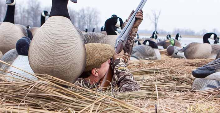 When is the Goose Hunting Season