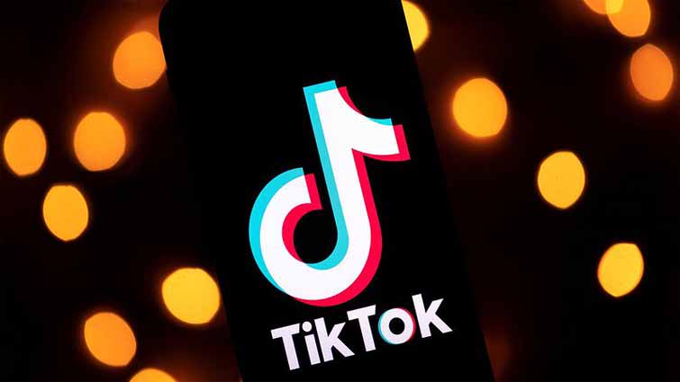 How to view likes TikTok