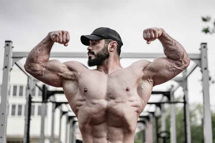 Fast Muscle Growth
