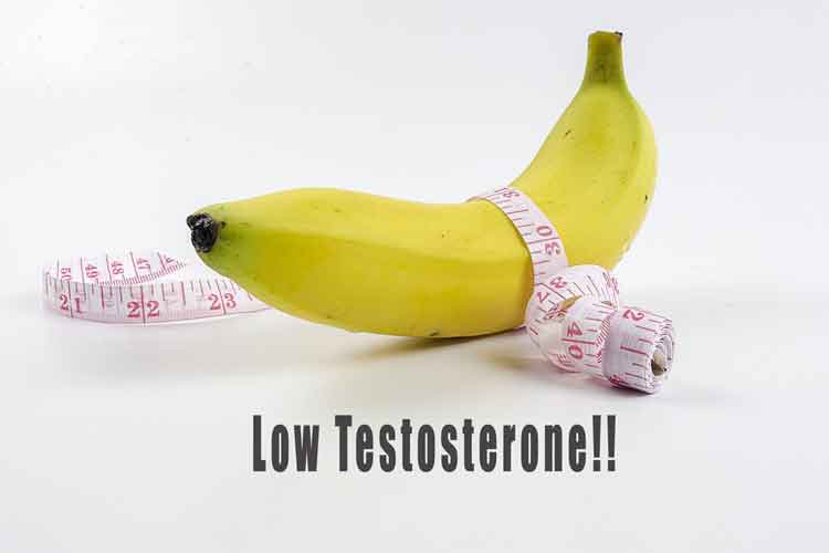 High Testosterone Diet Plan