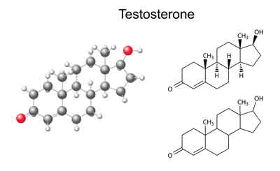 One Day Testosterone Boosting Diet Plan T Boosting Mean Plan