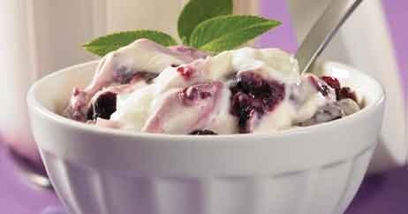 Muffin Fruit Yogurt Mix-up