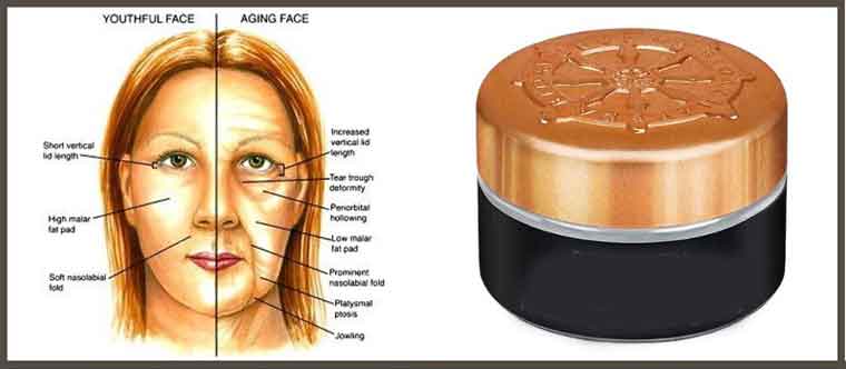 What you Need to Know Before Buying an Anti-Aging Cream