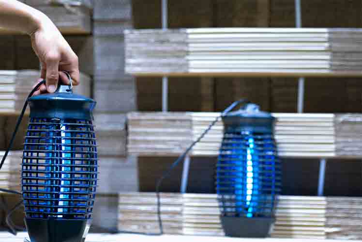 The Most Effective Ways to Attract Mosquitoes to Bug Zapper