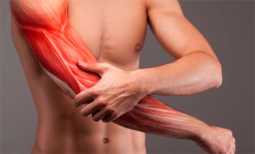 The Causes of Muscle Pain