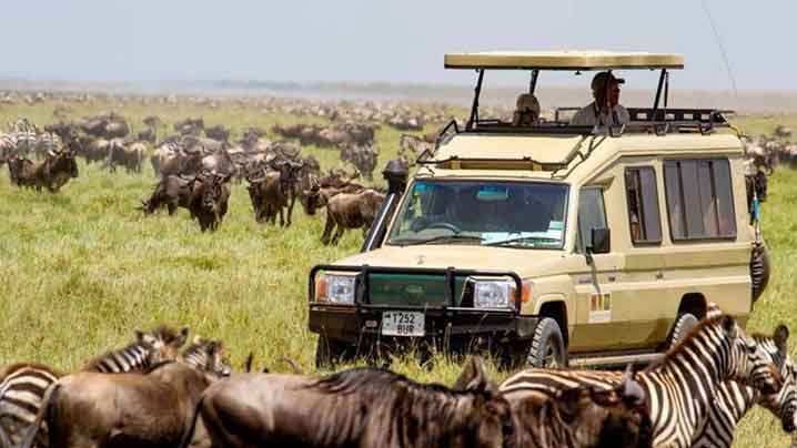 How Long Do You Need in Tanzania Safari