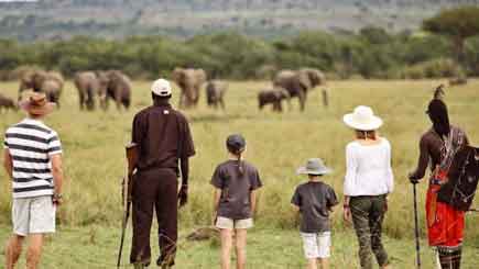 A safari in Tanzania is a once-in-a-lifetime experience